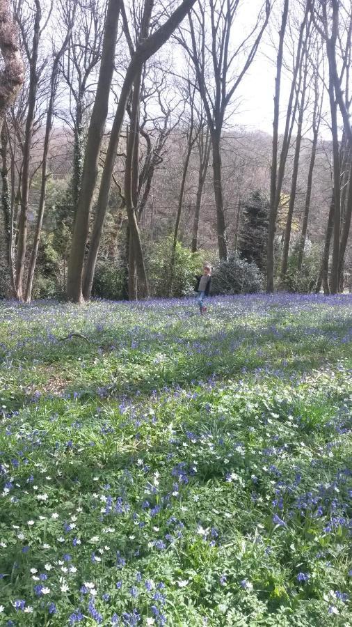 La Parenthese Bois De Cise Appartement Ault Buitenkant foto