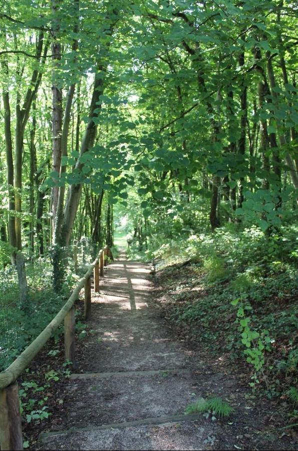 La Parenthese Bois De Cise Appartement Ault Buitenkant foto