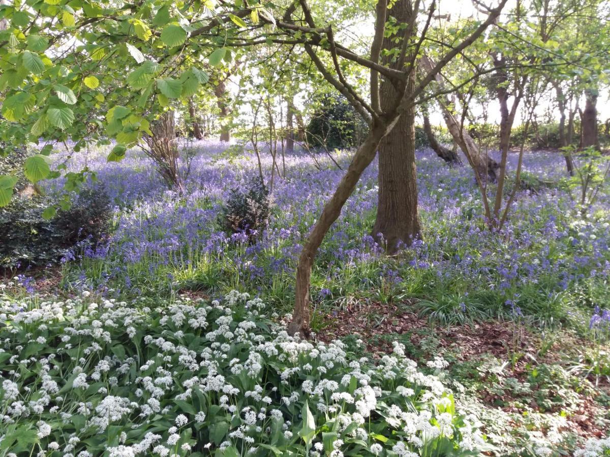 La Parenthese Bois De Cise Appartement Ault Buitenkant foto