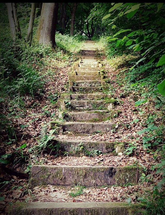La Parenthese Bois De Cise Appartement Ault Buitenkant foto