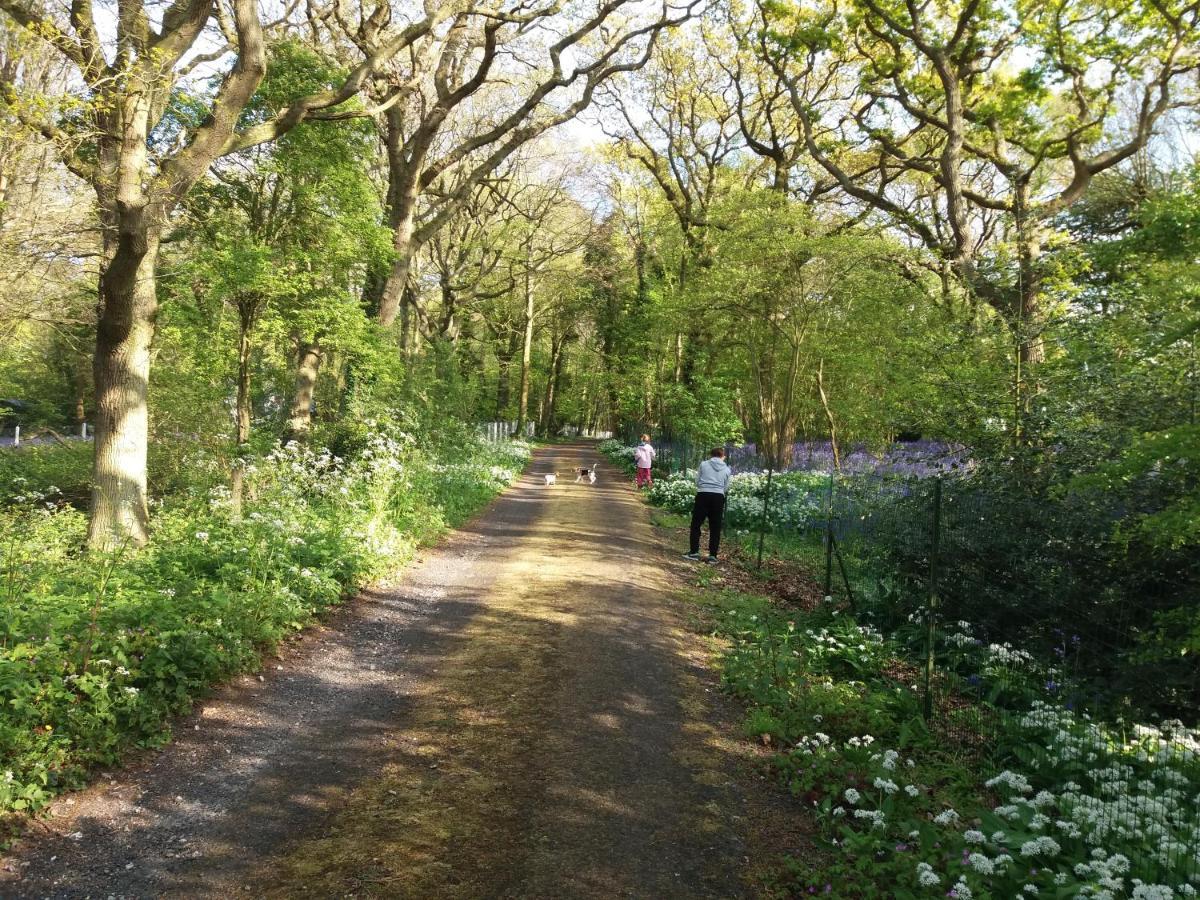 La Parenthese Bois De Cise Appartement Ault Buitenkant foto